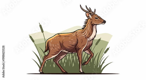 Whitetail deer with spotted coat walks through marshy reeds and cattails with rolling hills behind