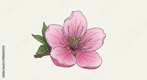 Delicate pink flower with green leaves and brown stem on a light cream background
