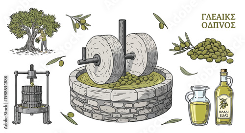 Traditional olive oil production process with stone press and trees