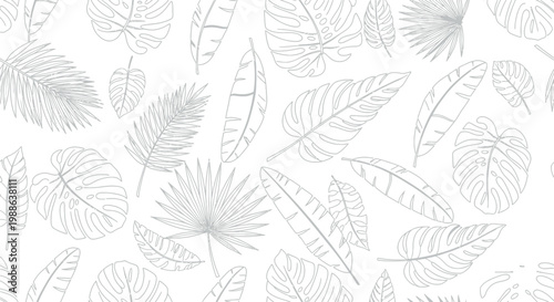 Beautiful seamless pattern featuring detailed hand drawn tropical palm and monstera leaves depicted in a clean minimal black and white line art style for modern design