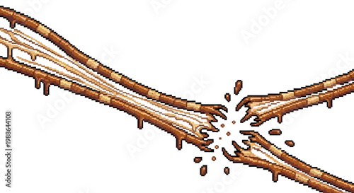 Illustration of a broken bone with dripping fluid.