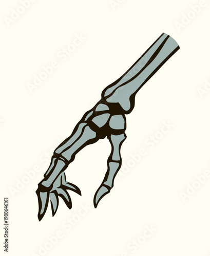 Vector drawing. Bones of the hand