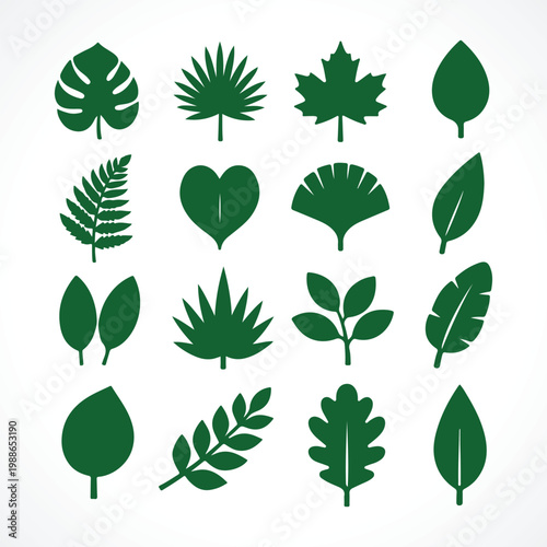 Green Leaf Silhouettes Collection Nature Botanical Icon Set