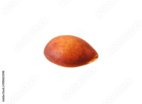 Foto One small apple seed isolated on white