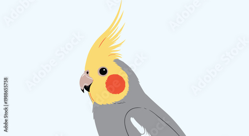 Detailed profile of a cockatiel bird showcasing its yellow crest orange cheek patch and soft grey feathers.