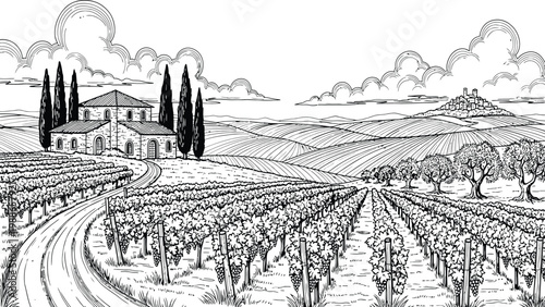Black and white hand drawn ink sketch of a Tuscany vineyard landscape with a rustic villa, rolling hills, and cypress.