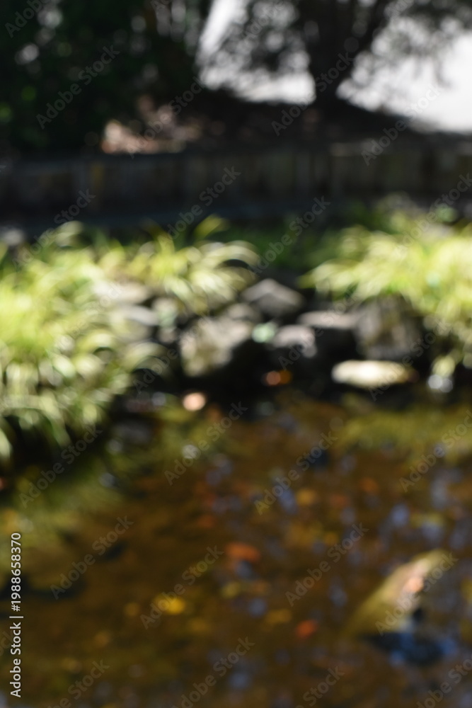 Fototapeta premium A dreamy view of a green leaves background along a river.