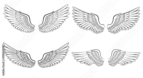 Set of four diverse bird wing pairs in black and white line art sketches for fantasy, freedom, and spiritual tattoo or graphic design themes.