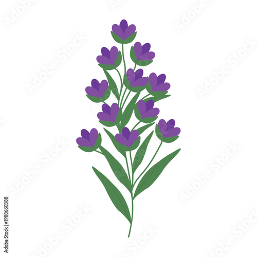 Minimal flat vector illustration of a purple wildflower with green leaves,  perfect for spring themes, branding, packaging, invitations, greeting cards, and digital products.