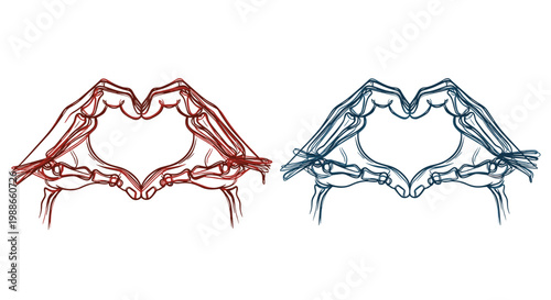 Anatomical hand illustrations in red and blue forming a heart shape with detailed bone structure on a white background.