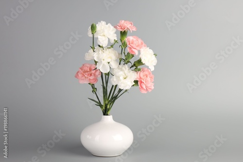 Beautiful carnation flowers in vase on light grey background, space for text