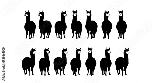 Alpaca silhouettes set with black and white graphics, standing, facing various directions featuring graphic illustrations, farm animals, south