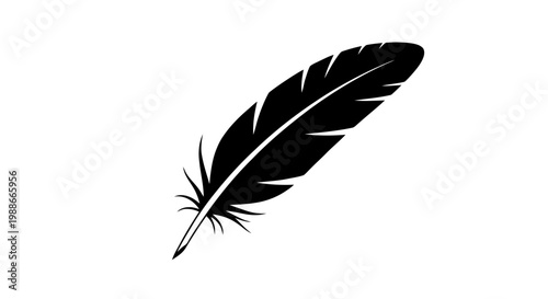 Vector illustration of black silhouette of a feather on a transparent background