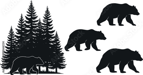 Collection of Bear Silhouettes with Coniferous Pine Trees in Black Vector Illustration for Outdoor Adventure and Wildlife Graphics