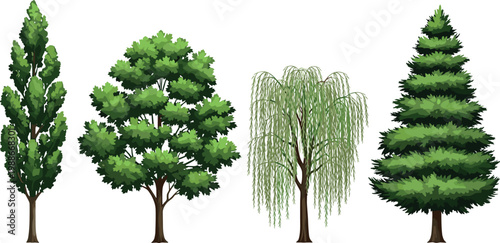 Collection of various detailed green trees including pine oak weeping willow and poplar flat vector illustration design.