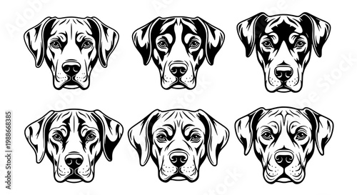 Dogs illustration set with various head angles and expressions featuring dog heads, black and white, pet with canine and animal elements for drawing,