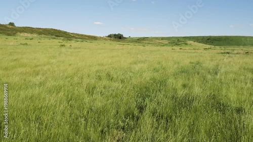 The foothills of the Southern Urals in early summer: the wind stirs the grass in the steppe.