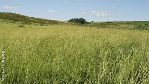 The foothills of the Southern Urals in early summer: the wind stirs the grass in the steppe.