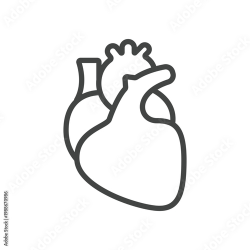 Simple Outline Anatomical Heart Illustration Organ Healthcare Human Concept