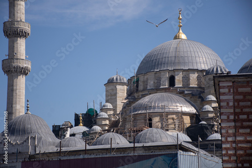 Photography mosque in istanbul turkey
