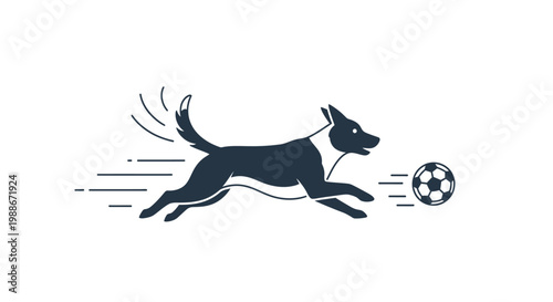 Dog running after a soccer ball.