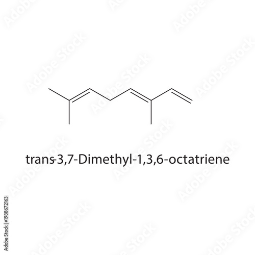 trans-3,7-Dimethyl-1,3,6 octatriene skeletal structure. triene compound schematic illustration. Simple diagram, chemical formula.