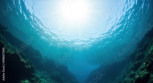 Underwater view, sun rays filter through the surface, illuminating a rocky canyon below