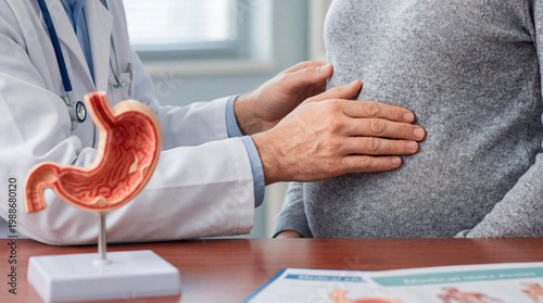 Doctor examining patient's stomach during a medical consultation. Focus on digestive health with an anatomical stomach model