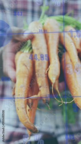 Farmer holding carrots, hand moving forward showing produce under blue grid numbers for agriculture
