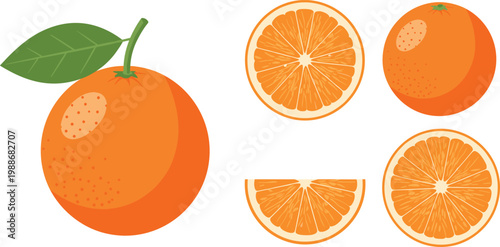 Fresh Orange Fruit Whole and Sliced Views Vector Set