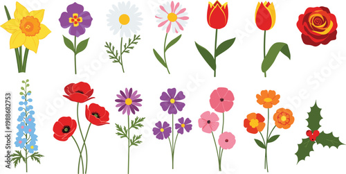 Colorful Spring and Summer Garden Flowers Vector Set