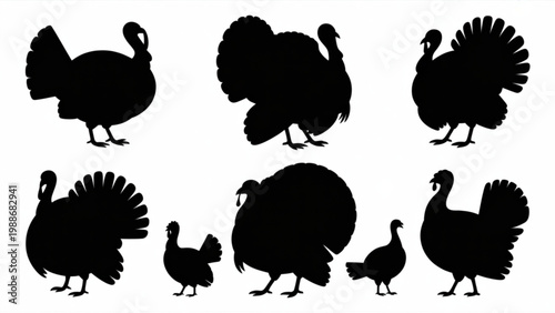 Thanksgiving Turkey Silhouette Vector Set – Classic Turkey Pose Black Shape Icon Collection