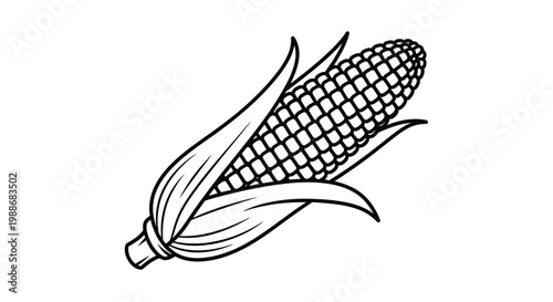 A detailed black and white illustration of a single ear of corn