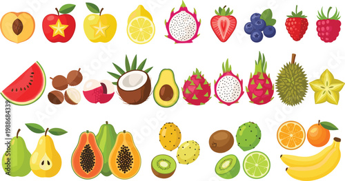 Colorful Tropical and Exotic Fruit Collection Set with Dragon Fruit, Durian, Papaya, Coconut, Avocado, and Berry Vector Illustration