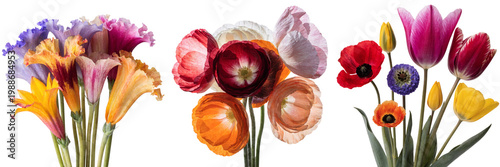 Set of The flowers are arranged in a way that they are all facing the same direction isolated on a transparent background