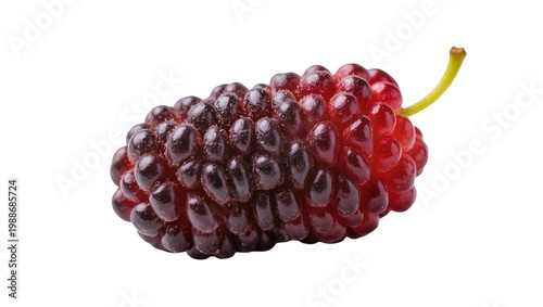 Cuadro en lienzo Dark purple and red mulberry fruit with green stem, isolated on transparent back