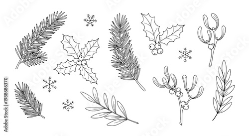 Leaves and branches winter set with snowflakes and festive holly, illustrated in black lines on white background