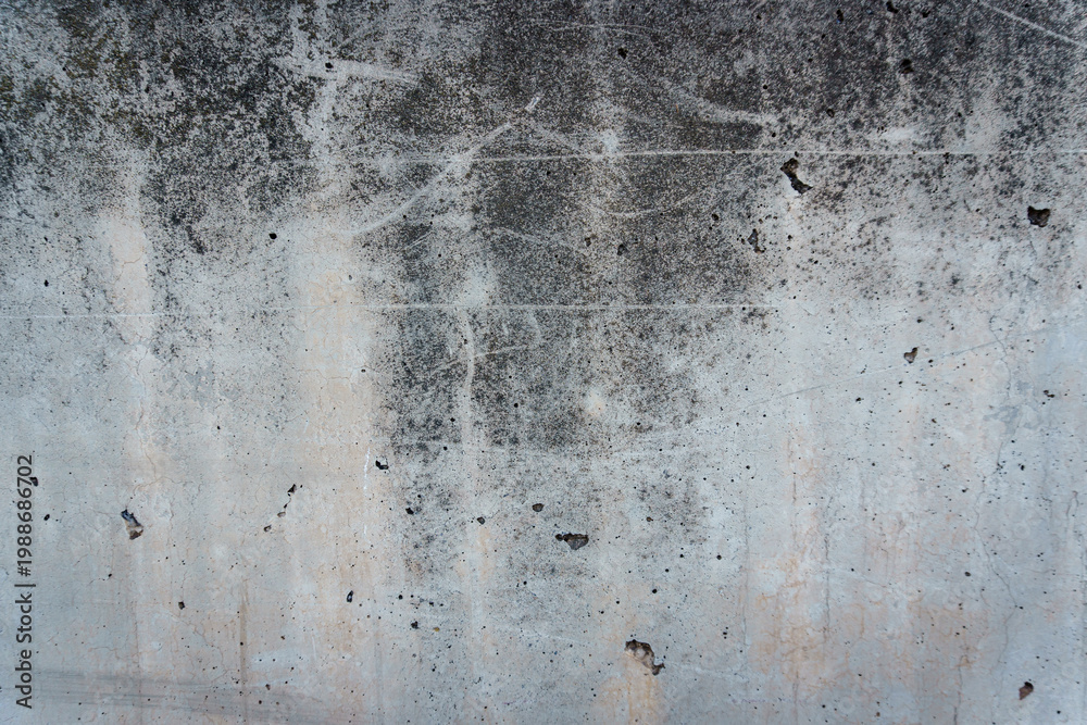 Obraz premium Weathered concrete wall with mold stains