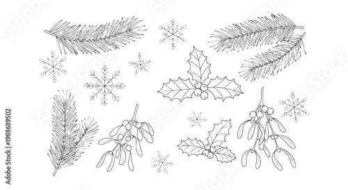 Leaves and snowflakes hand-drawn set with intricate line details featuring nature, winter, botanical with illustration and sketch elements for