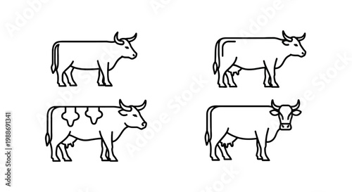 Set of four cow livestock line icons with livestock agriculture domestic creature minimalist farmhouse countryside silhouette domesticated