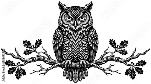 Owl Sitting on a Tree Branch.