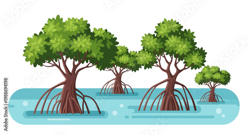 Vector illustration of mangrove trees with roots in water