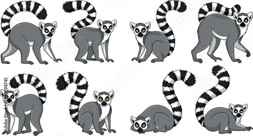 Vector collection of cute ring tailed lemur primate animals in different standing and sitting poses for wildlife design.