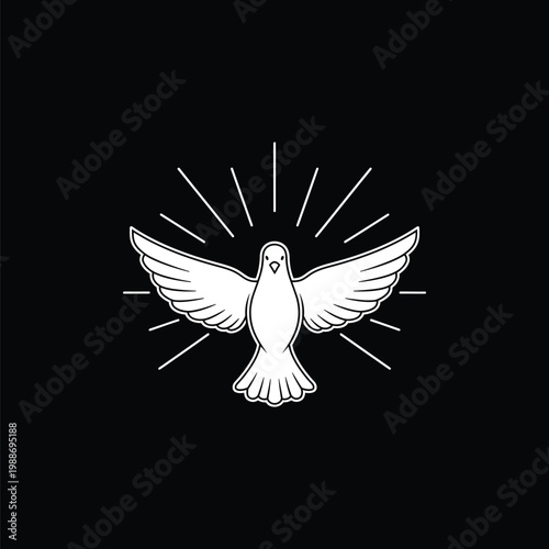 Obraz na plátně A white dove with outstretched wings and sun rays on a black background