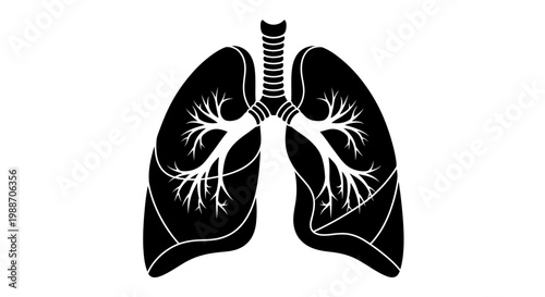 Anatomical illustration of human lungs.