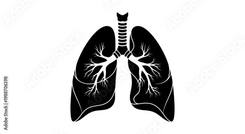 Anatomical illustration of human lungs.