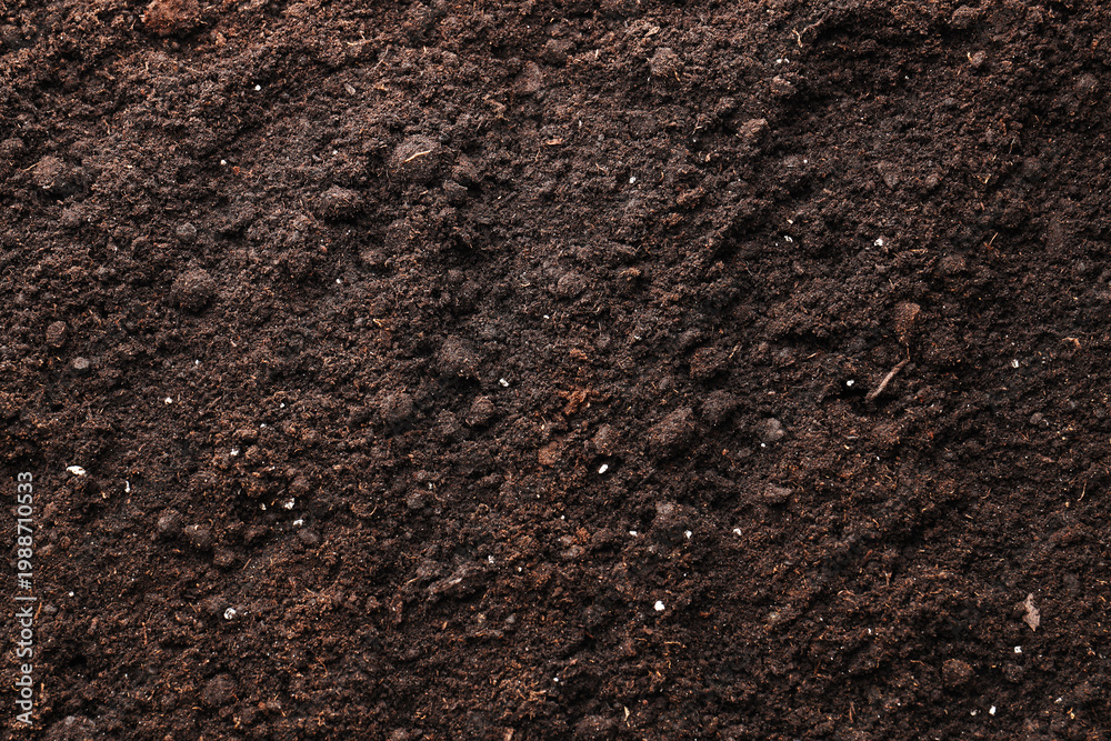 Fototapeta premium Texture of fresh soil as background, top view