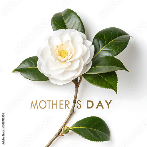 Elegant white flower illustration celebrating mothers day with green leaves and text