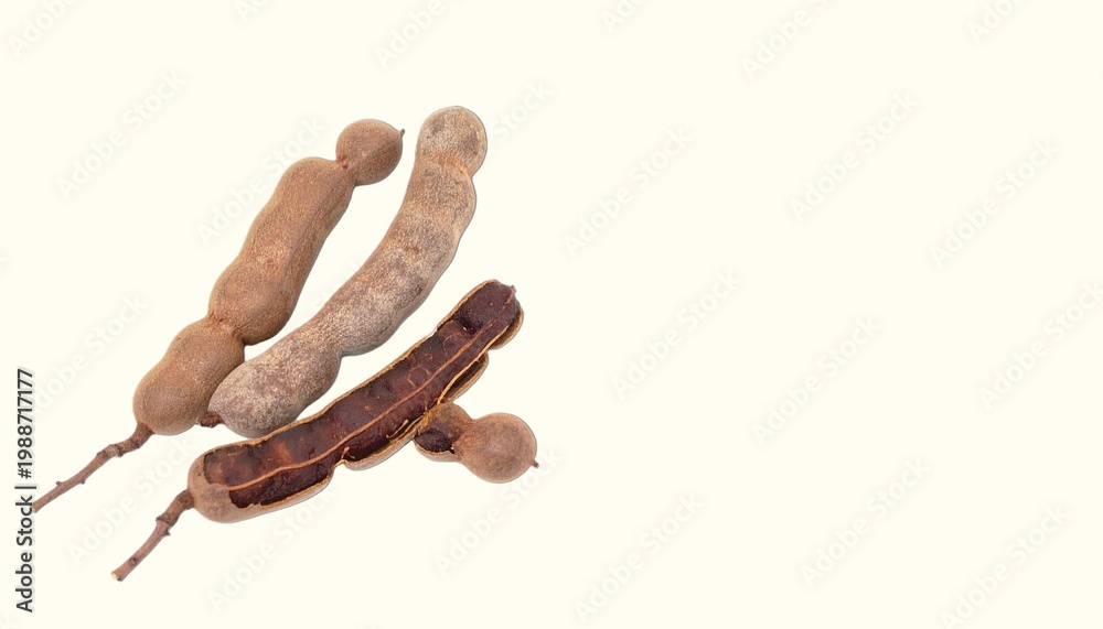 Fototapeta premium Fresh Tamarind Pods Isolated on White Background, Brown Tangy Fruit with Sticky Pulp for Cooking and Natural Flavor Concept