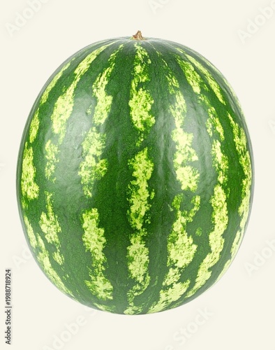 Fresh Whole Watermelon Isolated on White Background, Juicy Tropical Fruit for Summer Hydration and Healthy Nutrition Concept